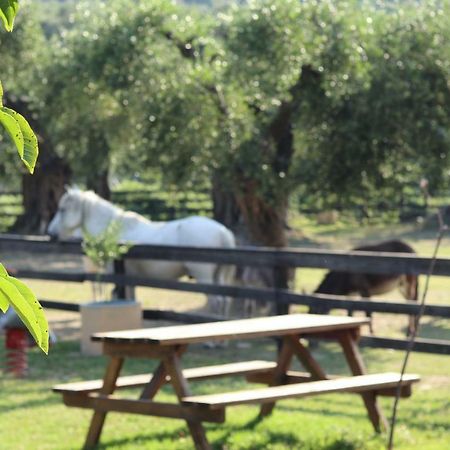 Honigtal Farmland Villa Agios Georgios Pagon Bagian luar foto