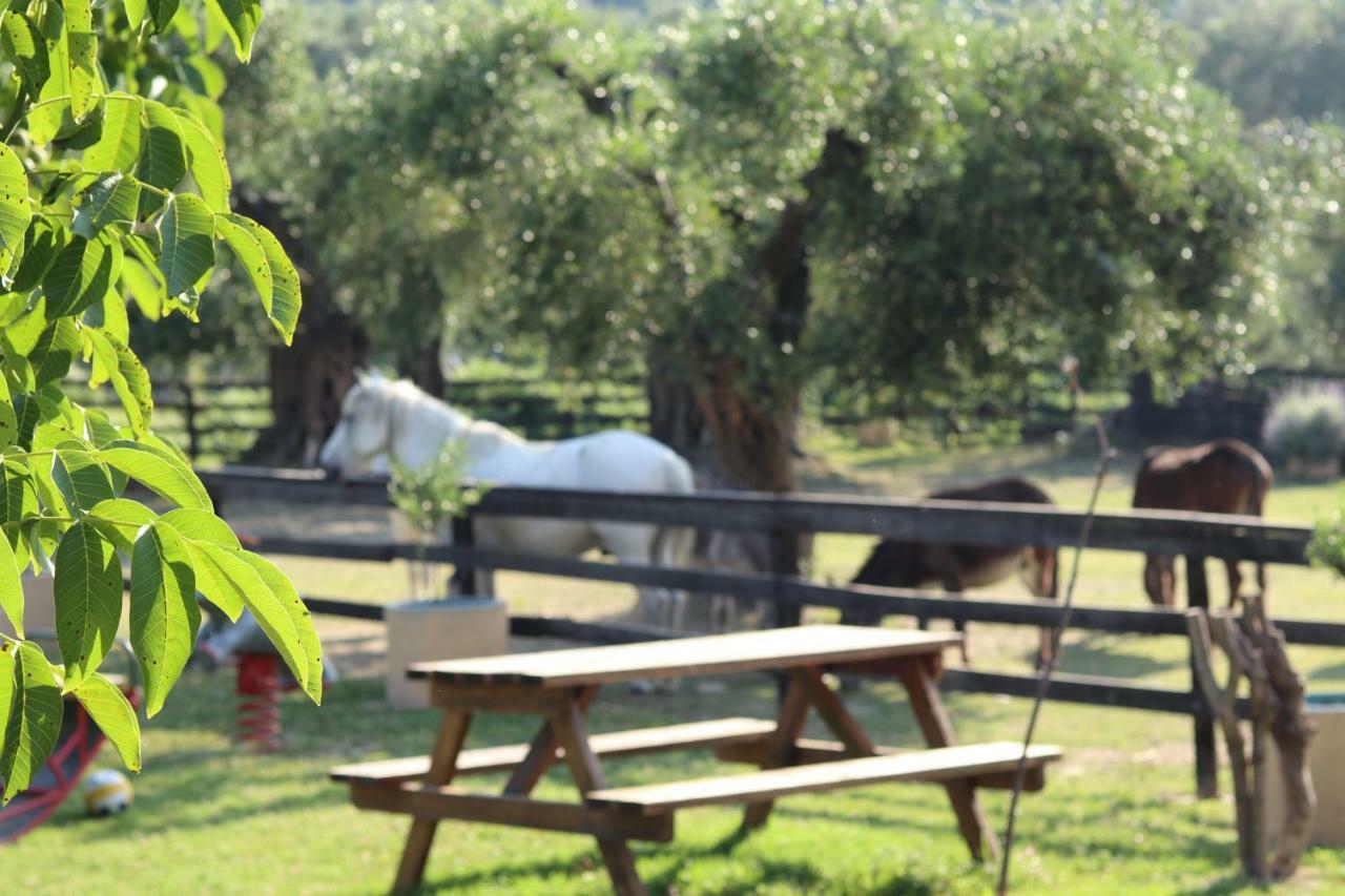 Honigtal Farmland Villa Agios Georgios Pagon Bagian luar foto
