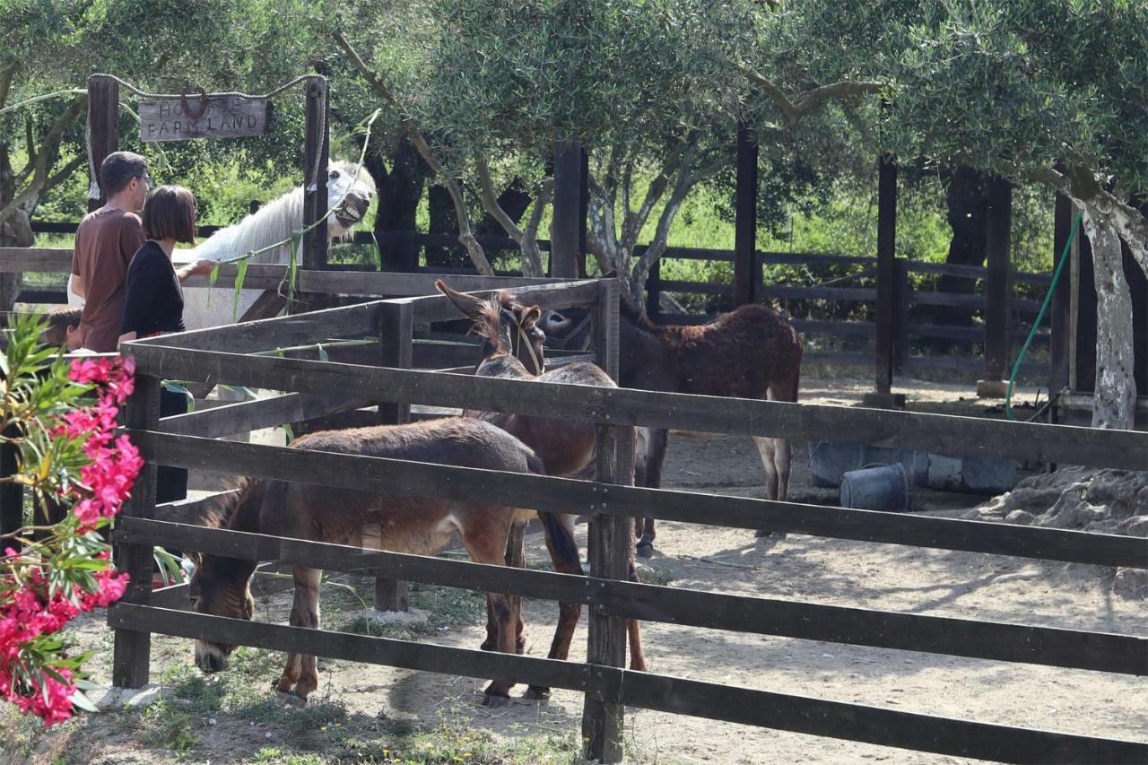Honigtal Farmland Villa Agios Georgios Pagon Bagian luar foto